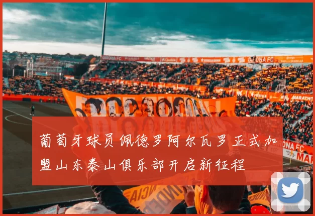 葡萄牙球员佩德罗阿尔瓦罗正式加盟山东泰山俱乐部开启新征程